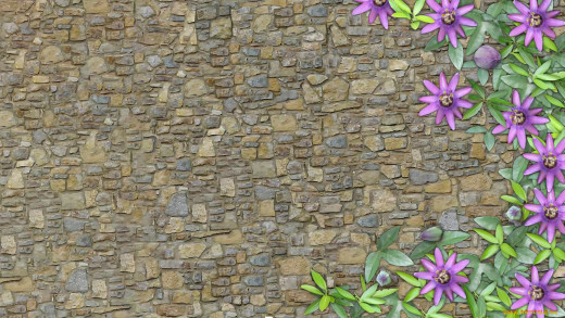 1752841 (a): :2133x1200